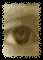 auge-3.gif (2573 Byte)