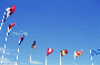 Flags in Semi-Circle.gif (4120 bytes)