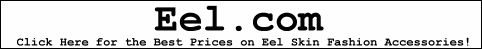 Eel.com