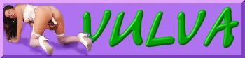 Go Now To The LIVE SHOW!!!
