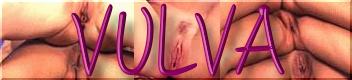 VULVA FREE PICS OF THE DAY